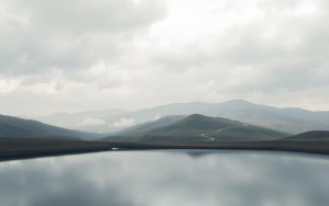 stock market risk tolerance